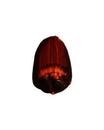 Tri-Art High Viscosity Acrylic Paint : Golden Orange