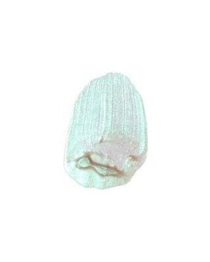 Tri-Art Liquid Acrylic Paint : Interference Turquoise