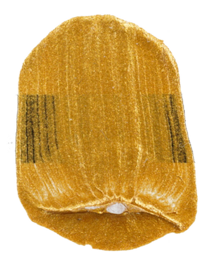 Tri-Art High Viscosity Acrylic Paint : Iridescent Gold Deep