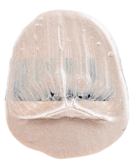 Tri-Art High Viscosity Acrylic Paint : Rose Gold